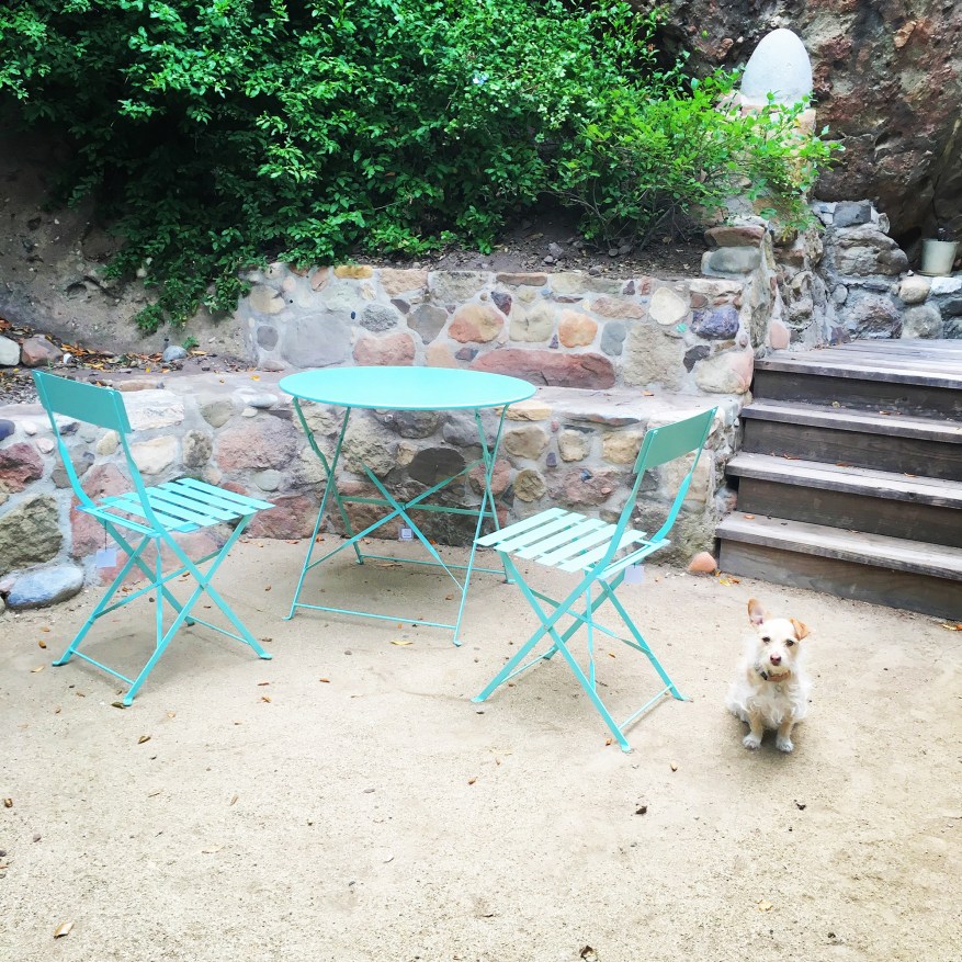 patio with custom sstone wall and cute dog
